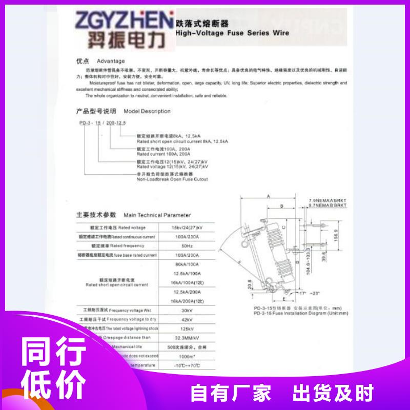 【跌落式熔断器】PRW-10F-25A