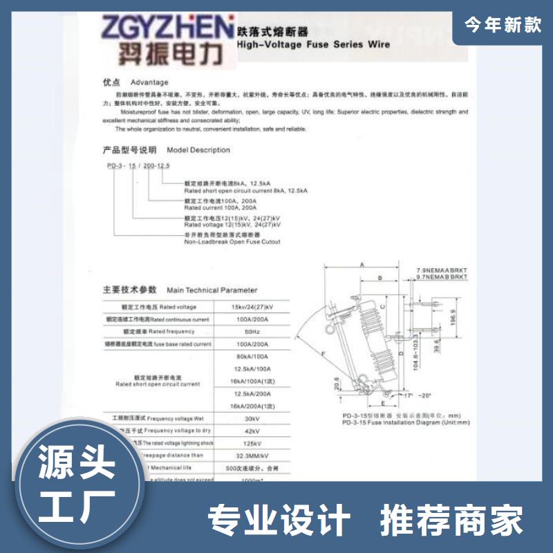 -高压熔断器，AC20kV，100A，跌落式，瓷质