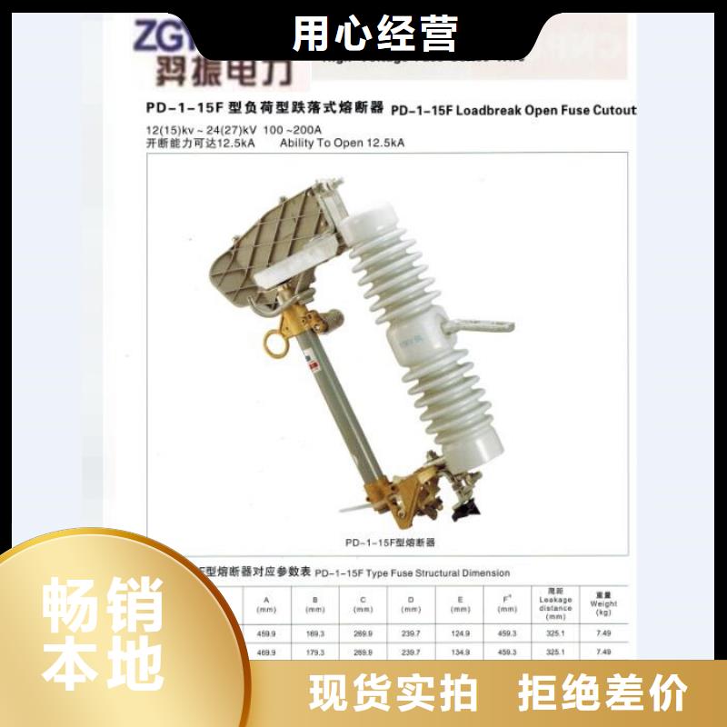 熔断器跌落式熔断器厂家品种全