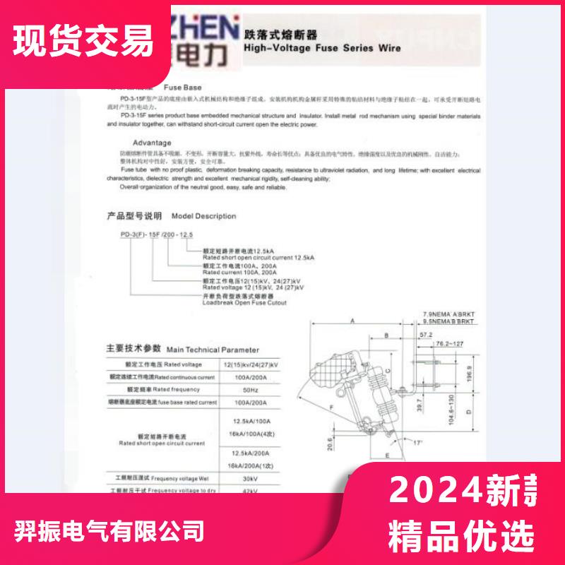 高压熔断器/RW8-10X/100-6.3