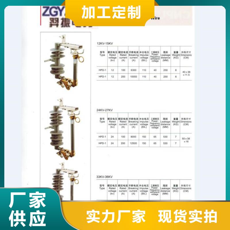 高压熔断器/RW11-10/100A