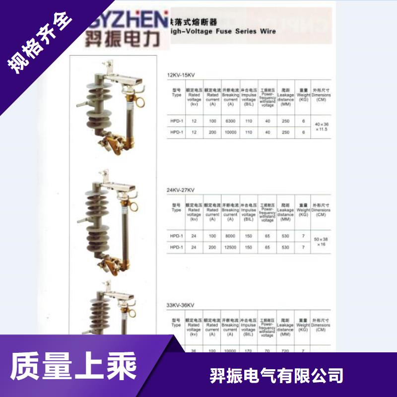 【跌落式熔断器】RW12-12/100A浙江羿振电气有限公司