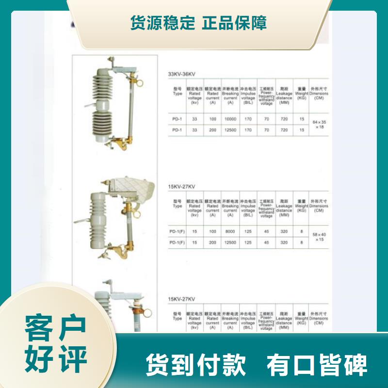 高压熔断器/HRW12-12KV/100A.