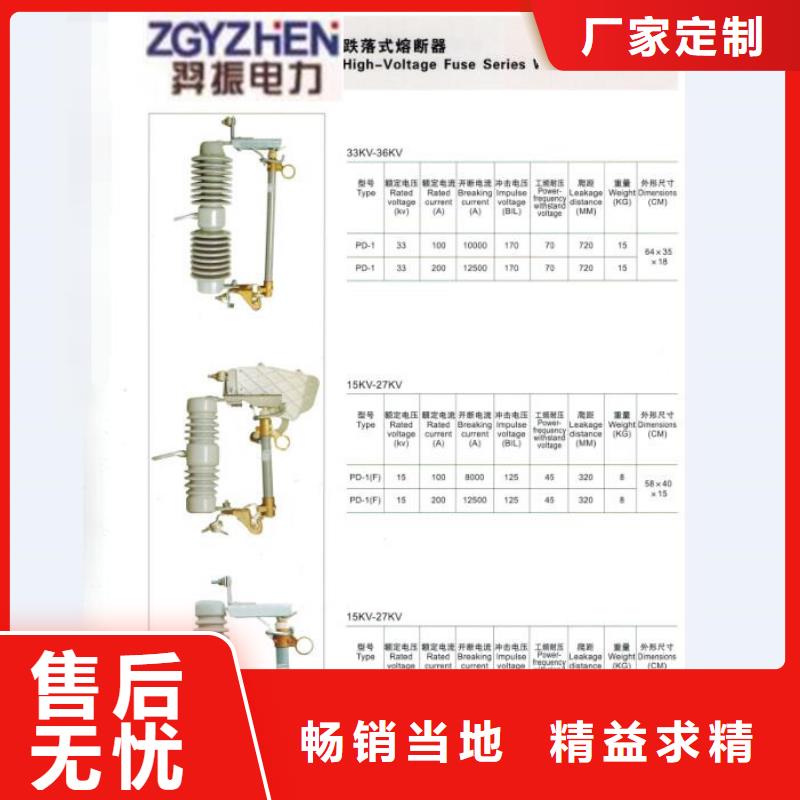 -高压熔断器/HPRW7-1010KV