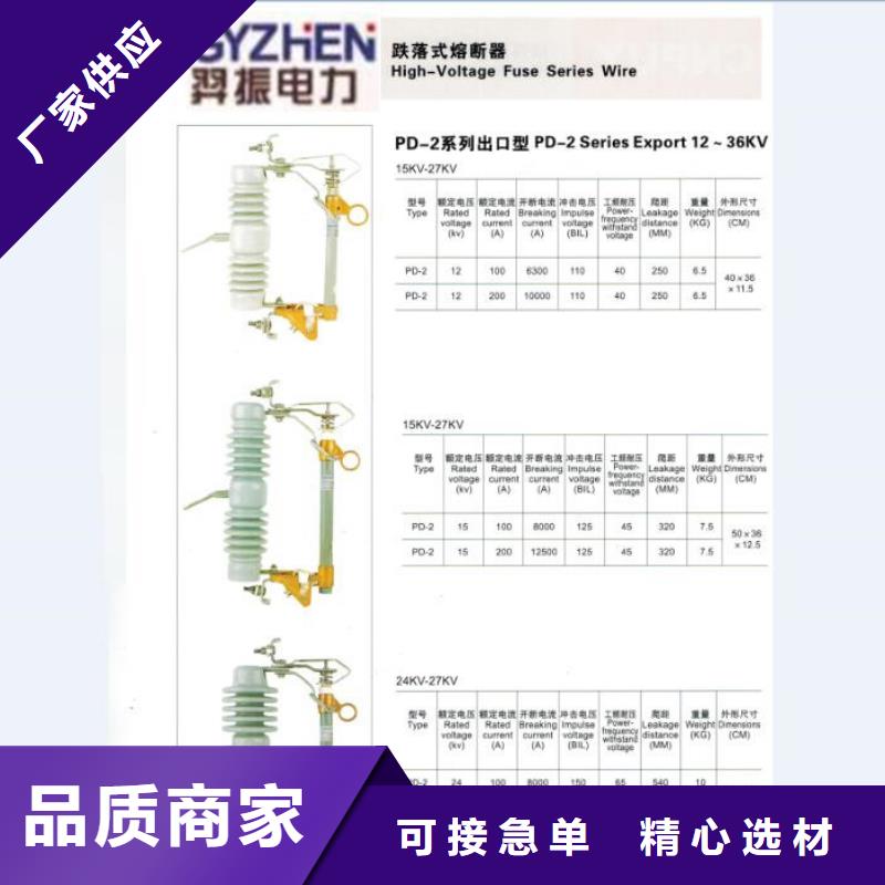 高压熔断器/HRW12-24/200A