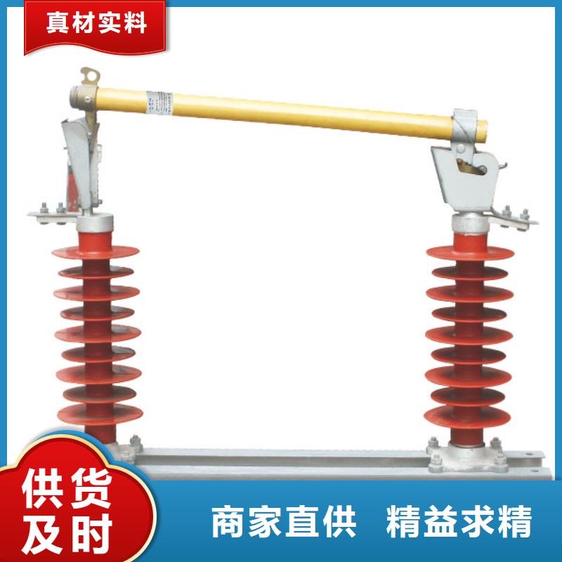 户外高压跌落式熔断器熔丝具RW12-12F/100A