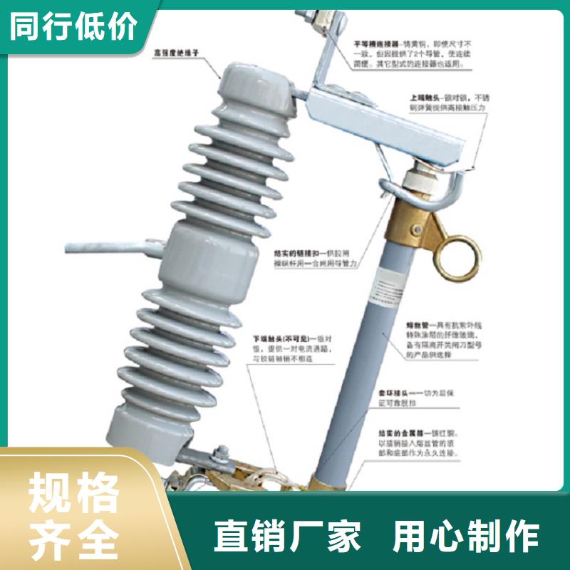 跌落式熔断器PRW-12/100A