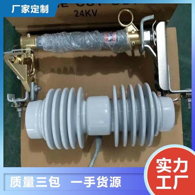 熔断器避雷器专注产品质量与服务