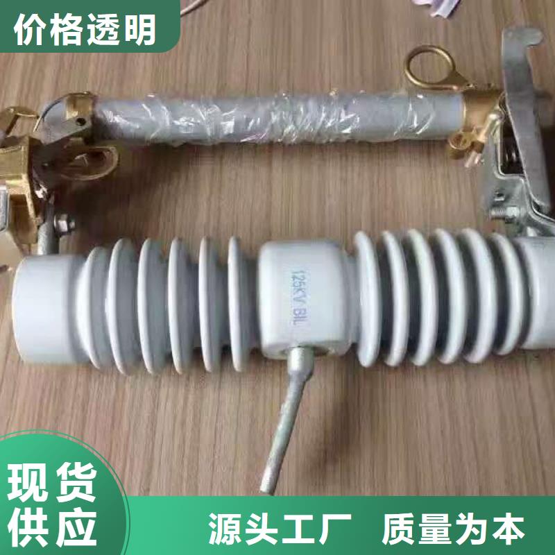 跌落式熔断器熔丝\10KV/15ARW310kV100A加粗