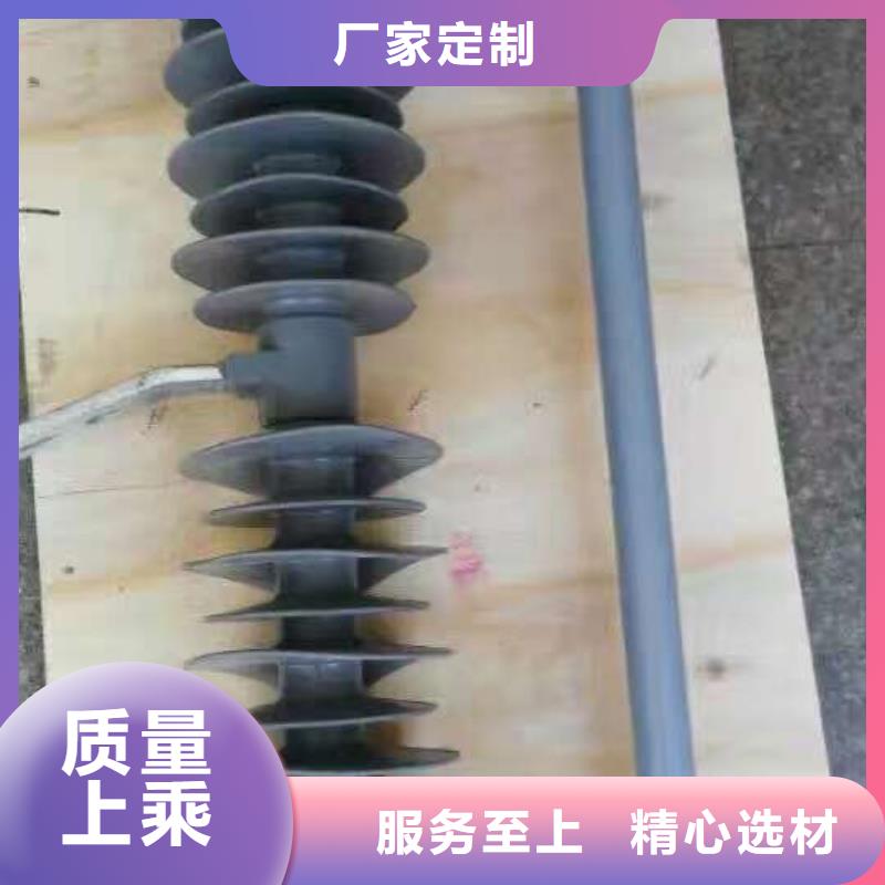 【熔断器】玻璃绝缘子精选货源