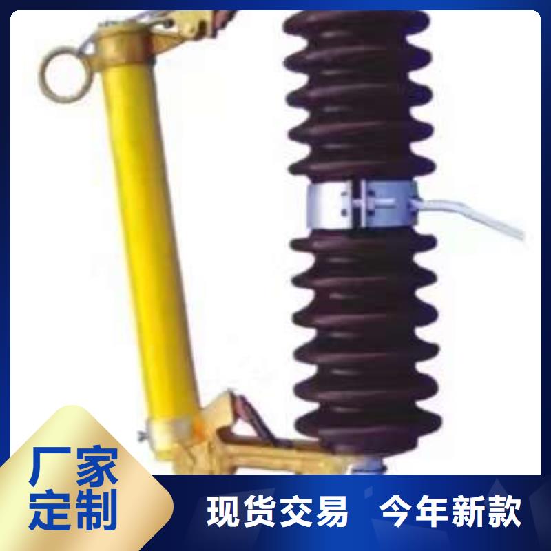 高压熔断器/HRW10-1212KV