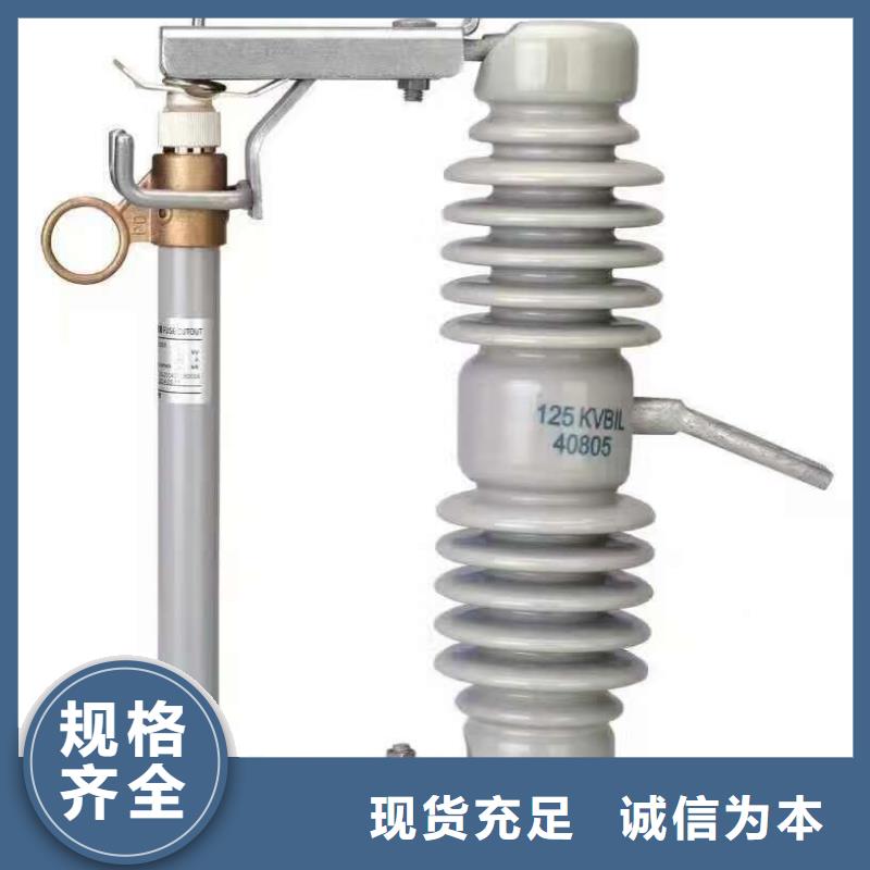 高压熔断器/FSC-12KV/100A