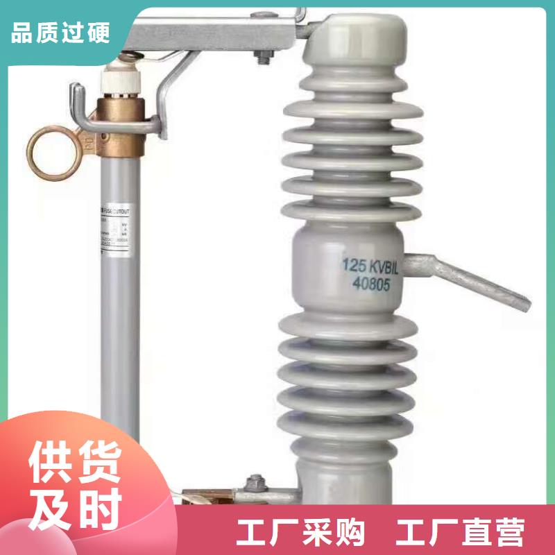 跌落式熔断器/PRW12-10KV/100A-PRW12-10KV/200A/厂家