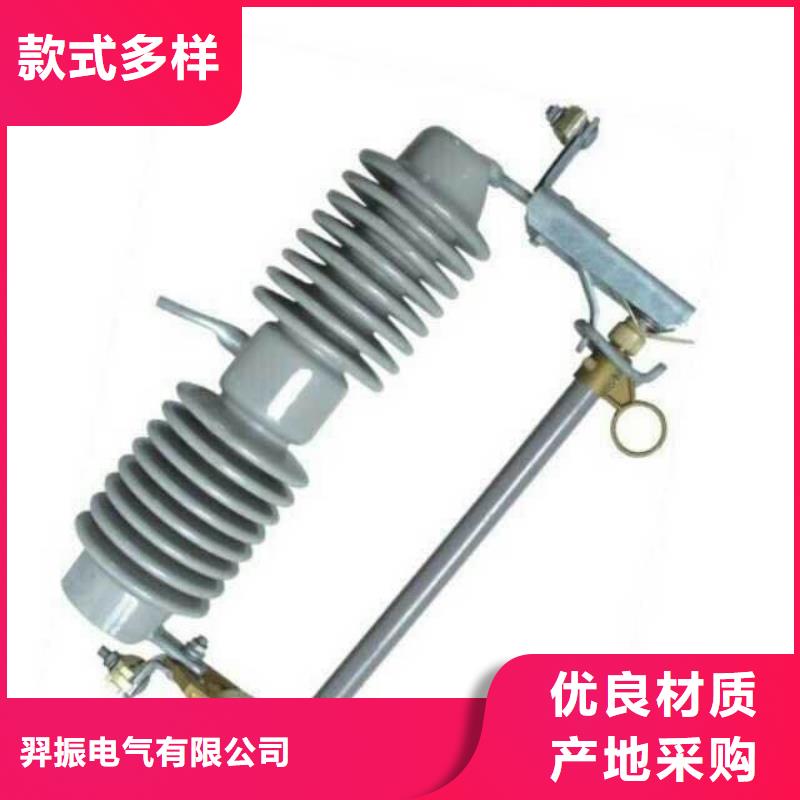 高压熔断器/FSC-12KV/100A