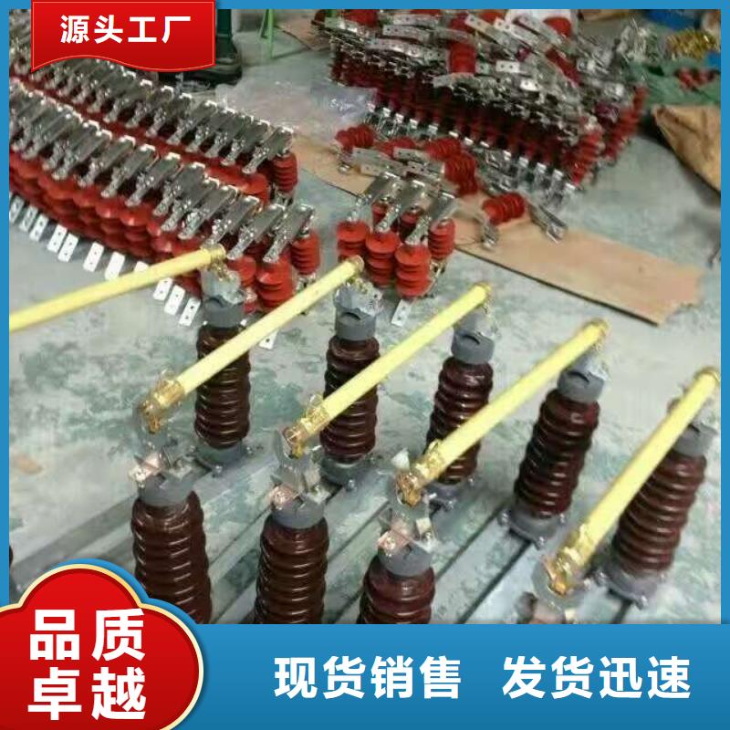 高压熔断器/HRW10-12.12KV.