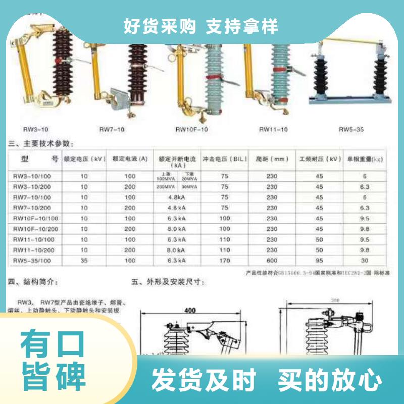 高压熔断器/PRW12-36KV/100