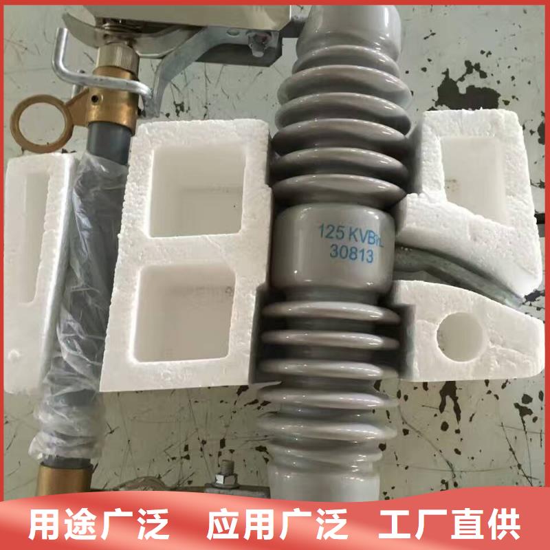 交流熔断器/AC10kV/100A/跌落式/瓷质