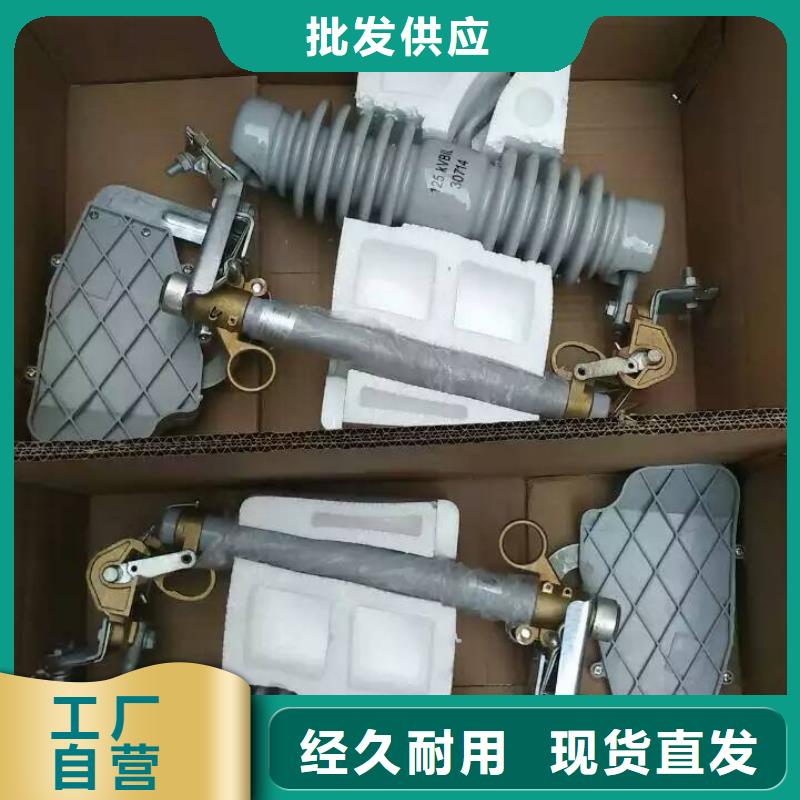 高压熔断器/RW33-10/200A