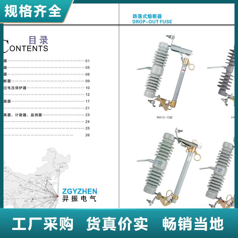 高压熔断器-高压熔断器RW12-15F/100A