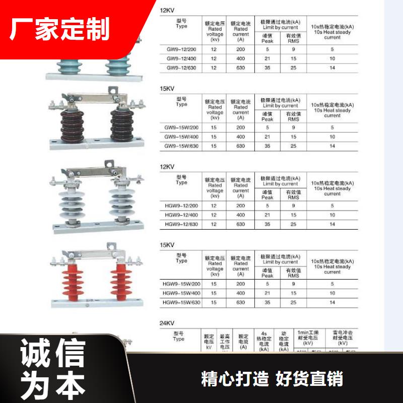 10KV单级隔离开关GW9-10KV/630A