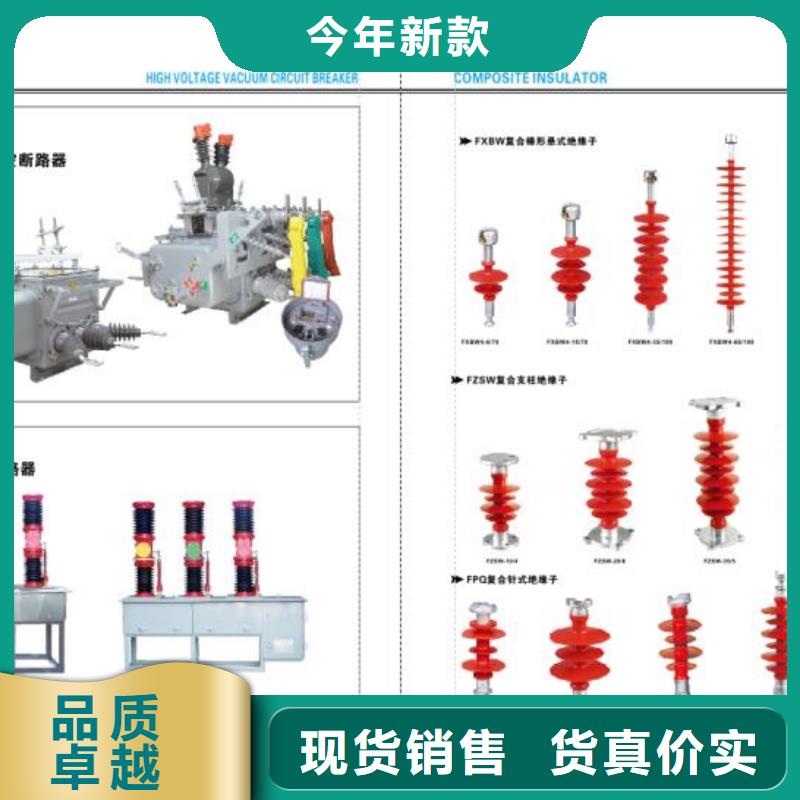 Y10W-200/520-金属氧化物避雷器