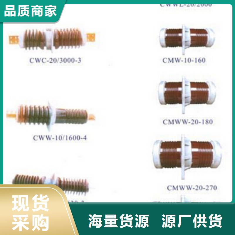 【高压穿墙套管】CWW-10KV/630-4