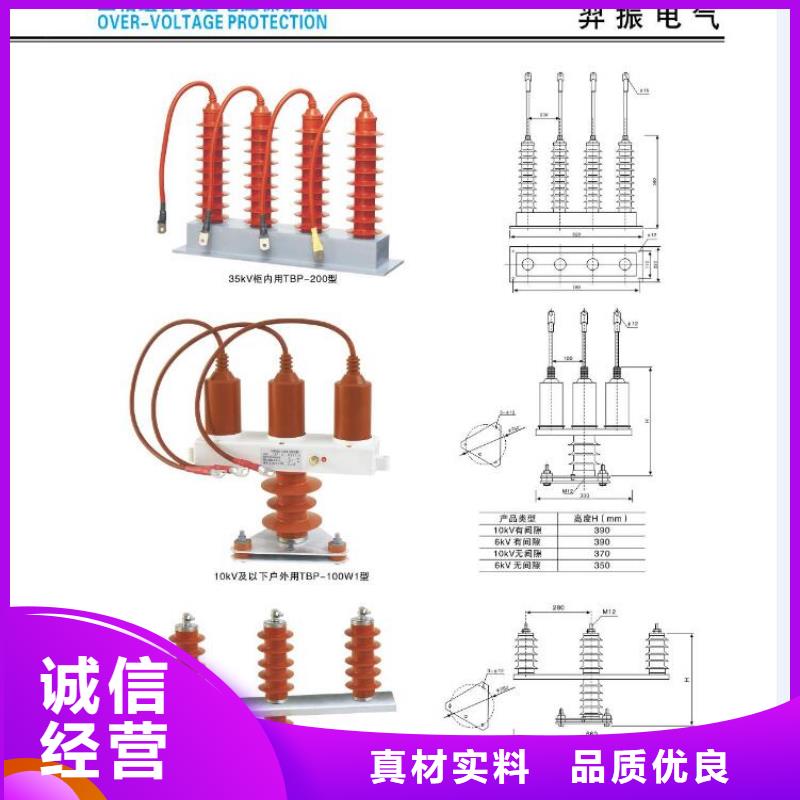 高压熔断器-高压熔断器RW12-15F/100A