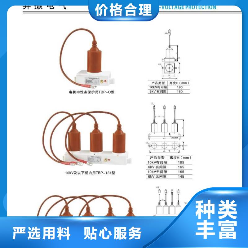 高压熔断器-PRW12-12/100A