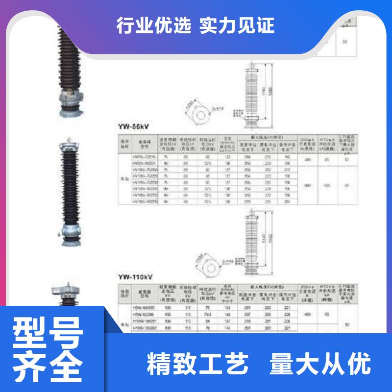 【氧化锌避雷器】避雷器Y5W5-102/266S