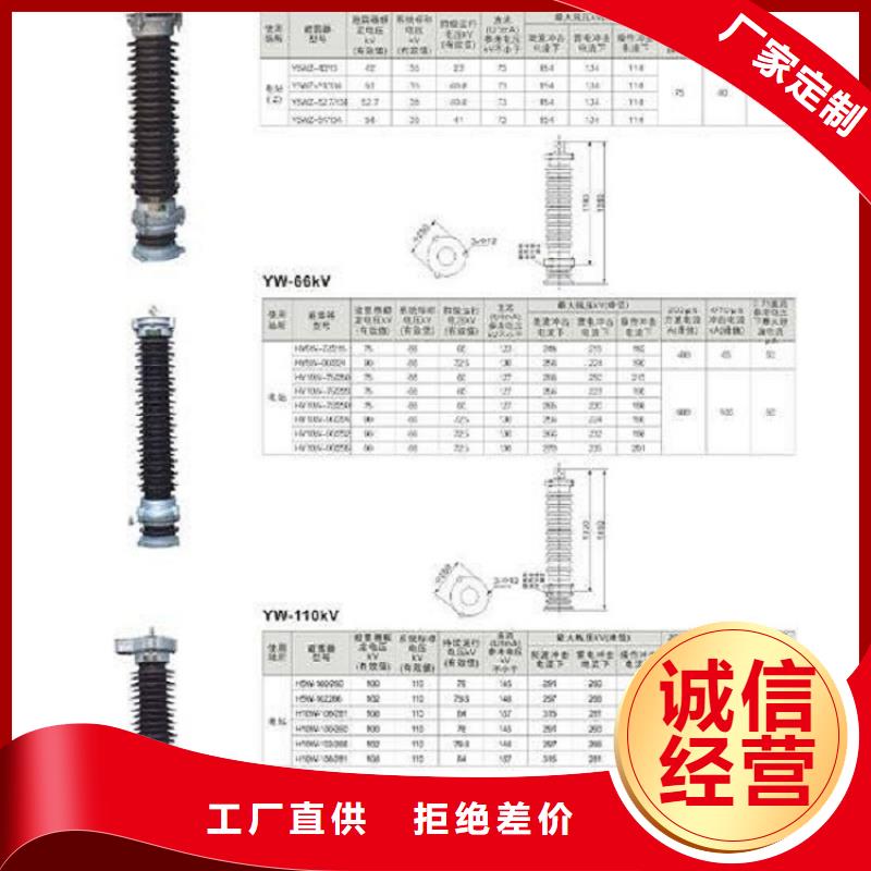 避雷器Y10W5-96/250【浙江羿振电气有限公司】