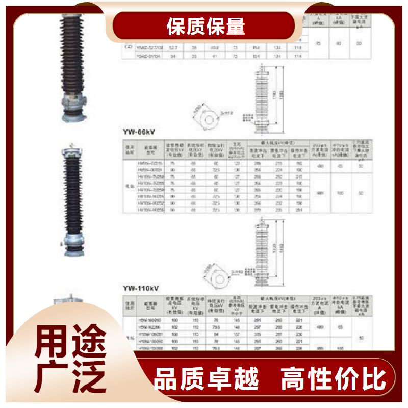 避雷器YH10WZ2-96/250S【羿振电气】