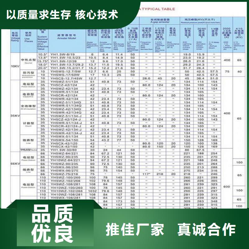 避雷器YH10WX5-100/295【羿振电气】