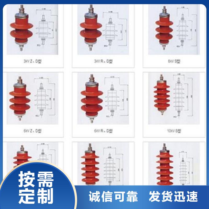 避雷器Y10W-200/496