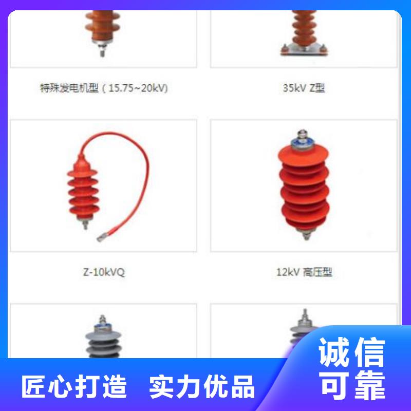 避雷器Y10W5-192/500【羿振电气】