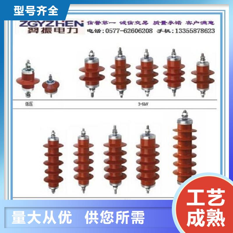 HY5W-100/260