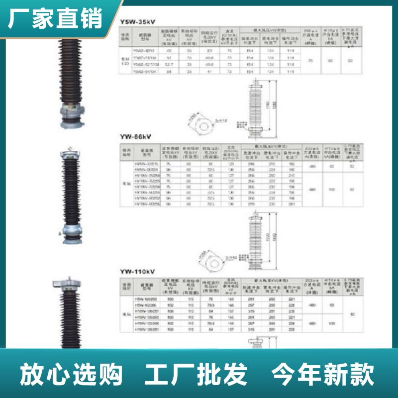 氧化锌避雷器Y10W-200/520【浙江羿振电气有限公司】