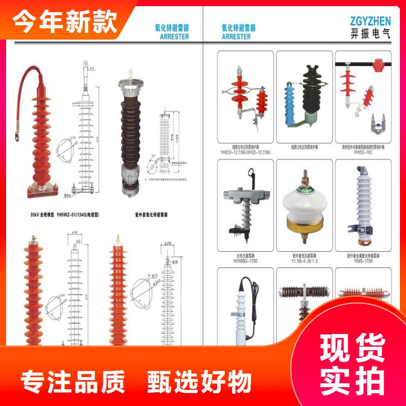 【氧化锌避雷器】避雷器YH10CX-100/260E