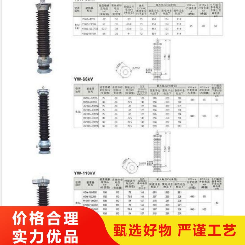 金属氧化物避雷器YH10W-96/250