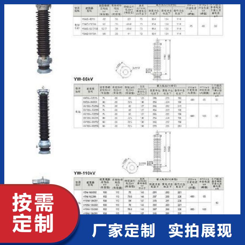 【氧化锌避雷器】避雷器YH5WS-17/50TLB