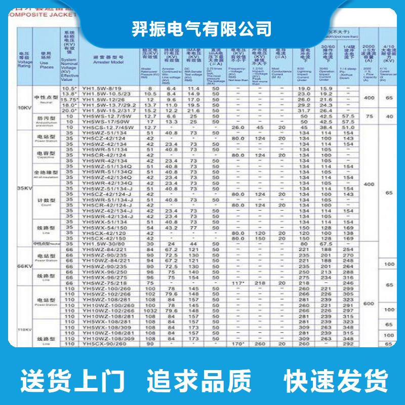 避雷器Y10W1-100/260(G)W【羿振电气】