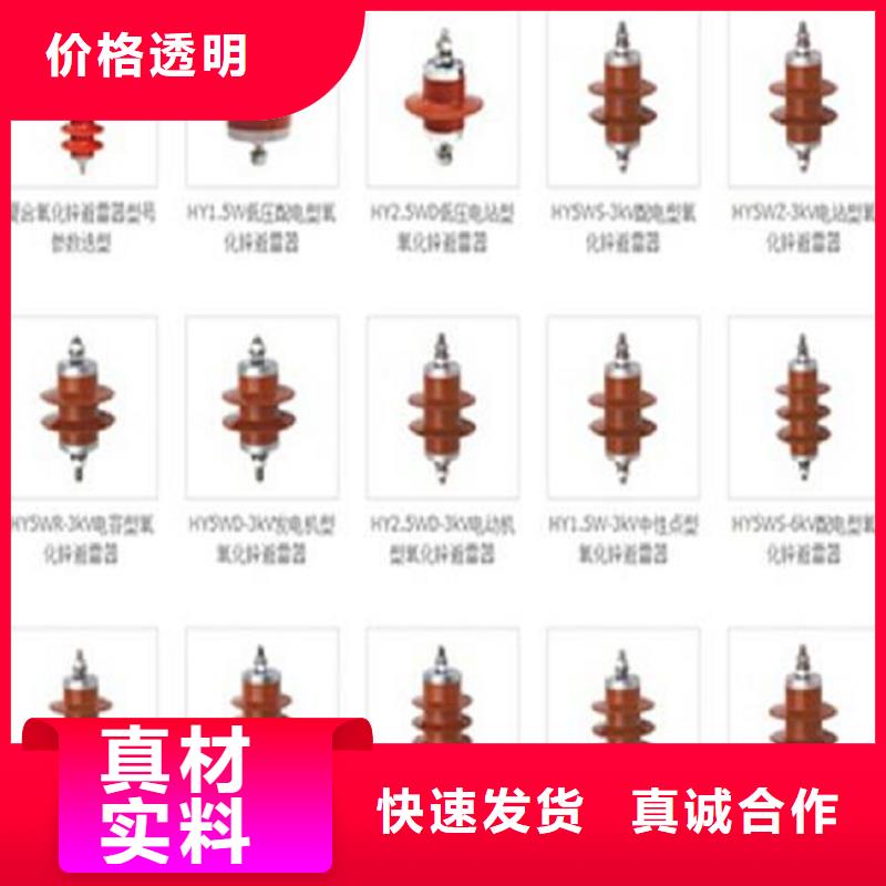 避雷器YH5WS5-26/72L【上海羿振电力设备有限公司】