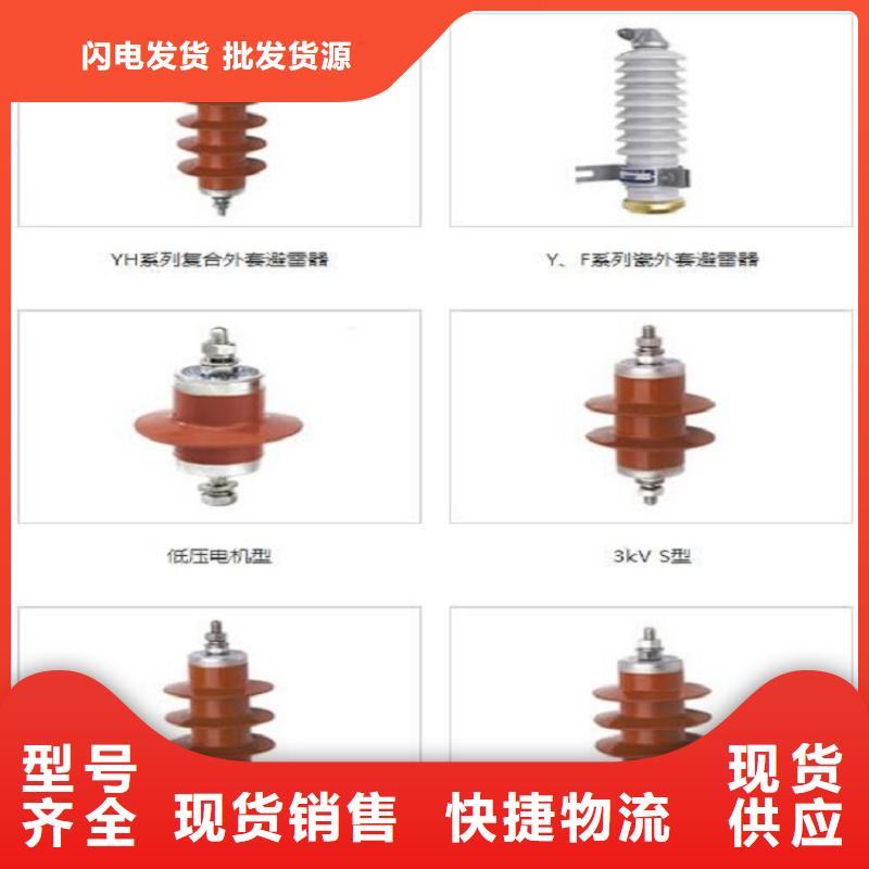 YH5CX5-100/260附放电计数器