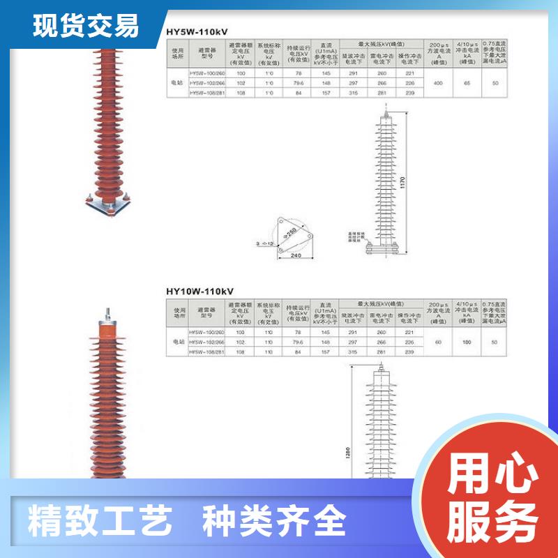 避雷器YH5CX5-102/266，放电计数器【羿振电气】