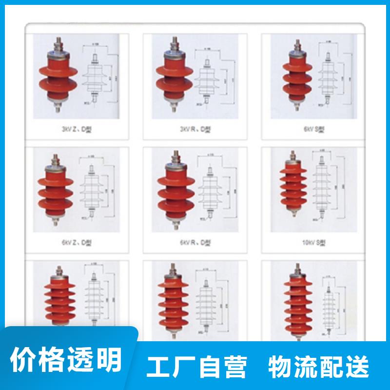 YH5CX5-100/260附放电计数器