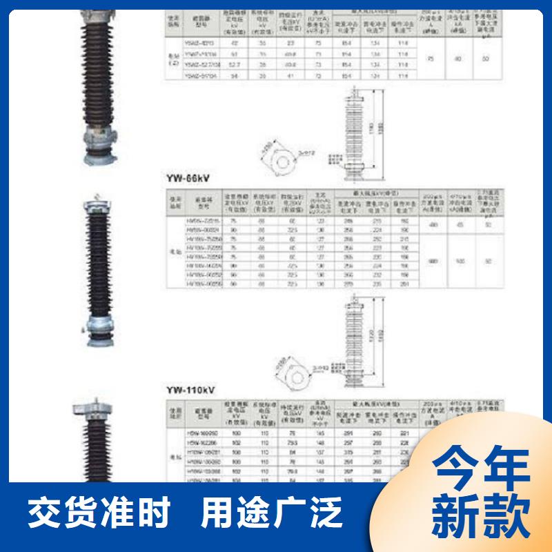 瓷外套金属氧化物避雷器Y10W-108/281