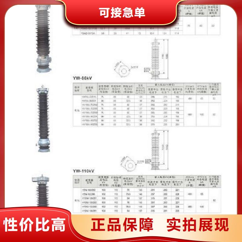 避雷器Y10W-216/562【羿振电气】