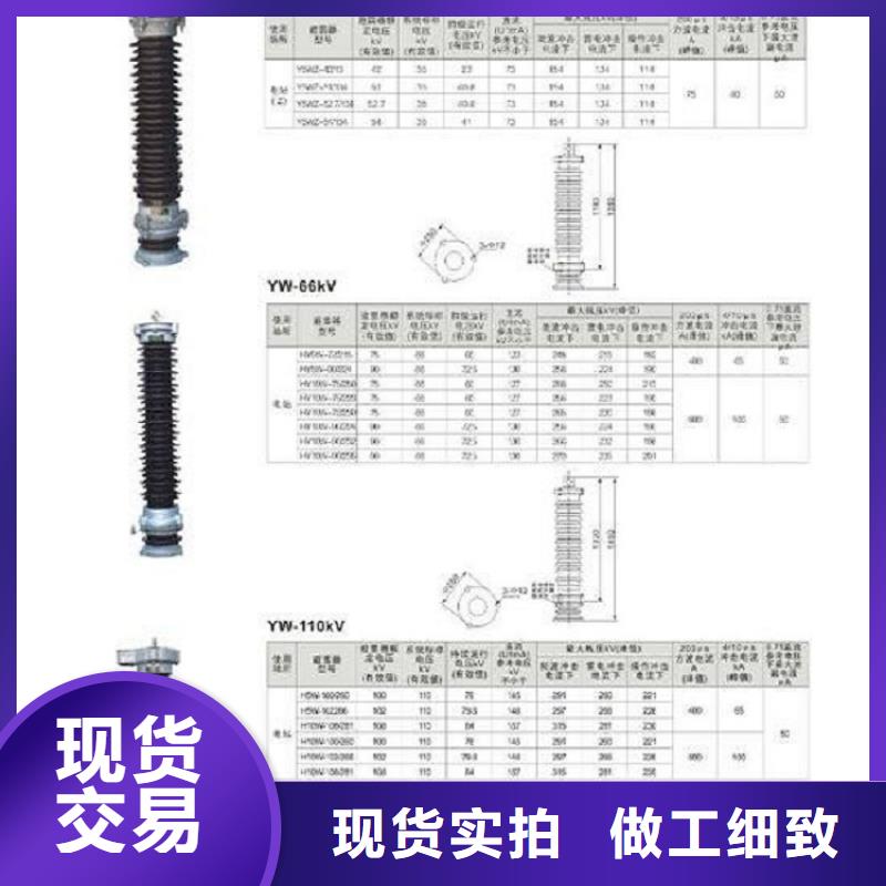 避雷器YH5W1-75/215【羿振电气】