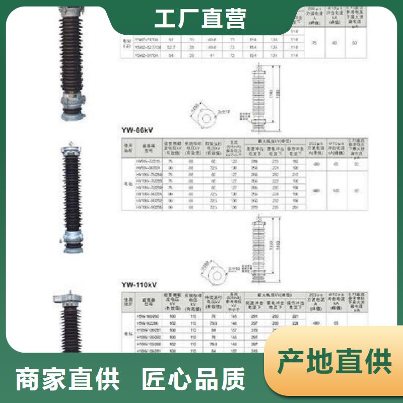 避雷器YH10CX4-192/560J浙江羿振电气有限公司