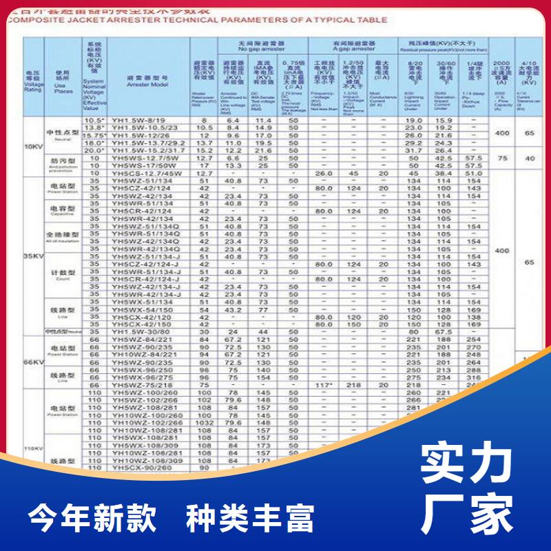 金属氧化物避雷器YH10W-96/250