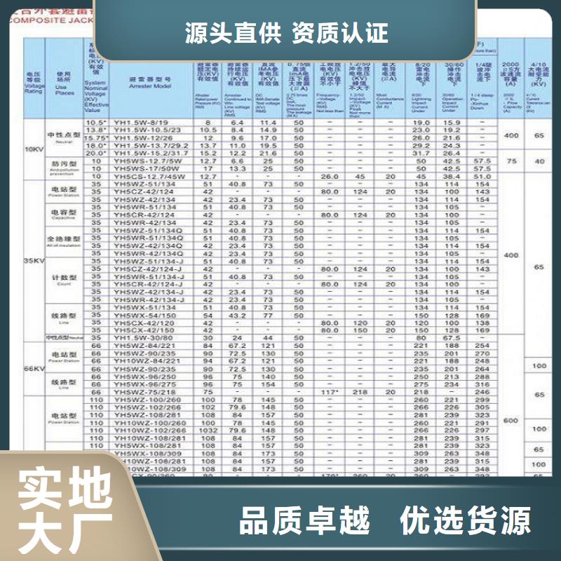 Y10W1-96/250(G)W